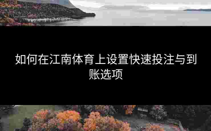 如何在江南体育上设置快速投注与到账选项